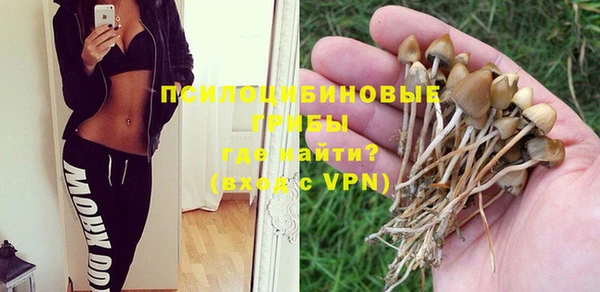 mdpv Горняк