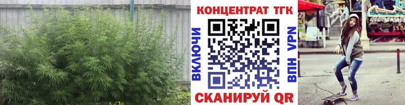 ТГК THC oil Новая Ладога