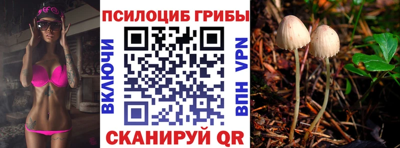 Галлюциногенные грибы ЛСД  Новая Ладога 