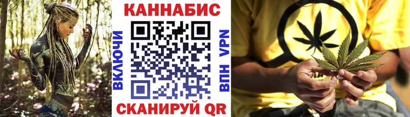 купить наркотики цена  Новая Ладога  Каннабис марихуана 